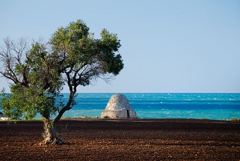 Mediterraneo